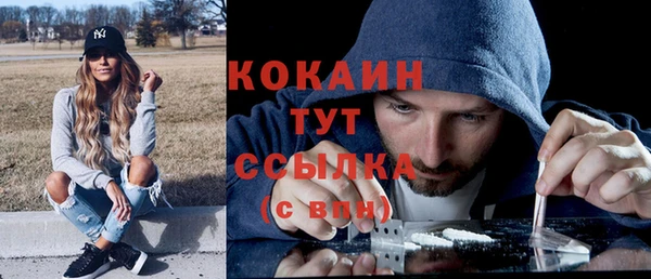стаф Абинск