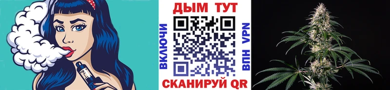 наркота  Тбилисская  Канабис конопля 